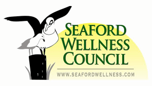 19th Annual Seaford Wellness Hot Chocolate 5K Run/Walk