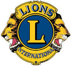 Run4Sight-Lions