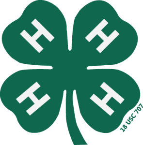 Clover Dash 5k