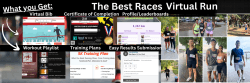 The Best Races Virtual Run