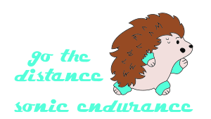 Go The Distance
