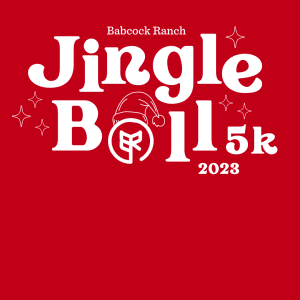 Jingle Ball 5K