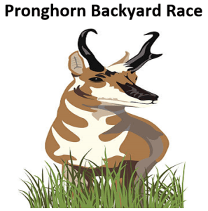 Pronghorn Backyard