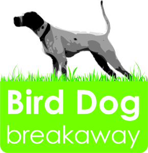 Bird Dog Breakaway