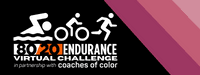 80/20 Endurance Virtual Challenge