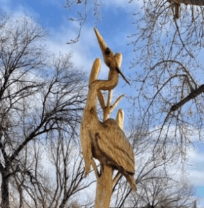 Blue Heron Half & 5K