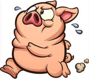 The Piggy Trot