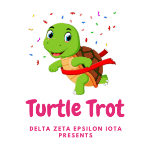DZ Turtle Trot