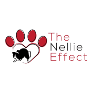 The Nellie Effect 5K And Sheep Herding Trial 2023