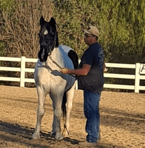 Heroes and Horses 5K