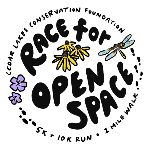 Race For Open Space