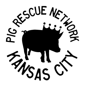 2022 Hog Jog & Volunteer Day - Virtual option available!