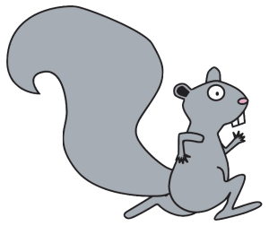 Squirrel Run XXVII