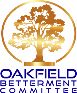 Oakfield Labor Daze Hornets 5k