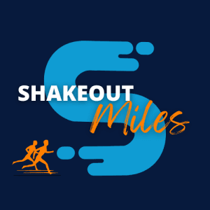 Turkey Day 5k: Pre-Game Shakeout Run/Walk VIRTUAL