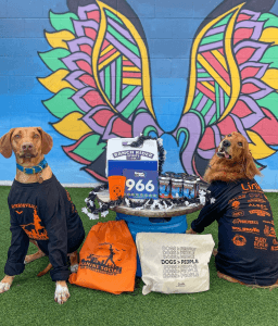Hops, Hounds and Halloween 5K and VyStar Credit Union Fun Run & Costume Contest