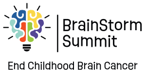BrainStorm Summit