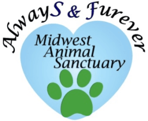 De Soto Days 5K-9 and Family Fun Run