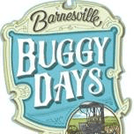 Barnesville Buggython Road Race 5K and 10K