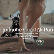 A Doggone Good 5k