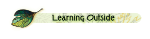 Learning Outside 5K Trail Run/Walk and Kids Race
