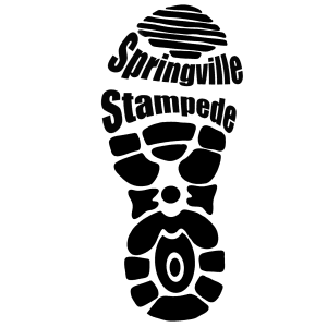 Springville Stampede 5K and Walk