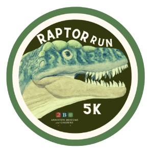 Raptor Run