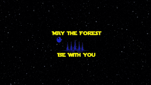 May The Forest Be With You