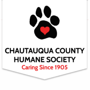 Walk 4 Paws