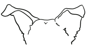 The Zooey Fund Race