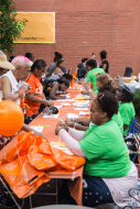 Lupus Detroit Walk for Warriors