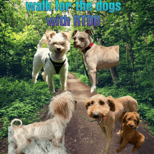 Walk for the dogs with RTDR