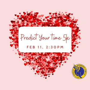 Predict Your Time 5K