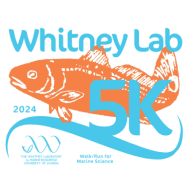 Whitney Lab 5K