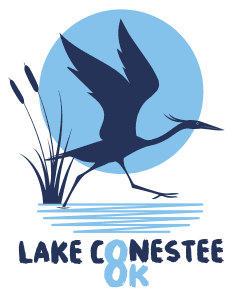 Lake Conestee 8k Run/Walk