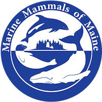 11th Annual Ocean Commotion 5K Run/Walk and 5K Virtual Challenge