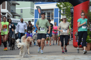 Running of the Bears 5K