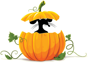 25th Annual River City Rat Race