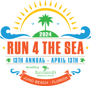 14th Annual Run 4 The Sea