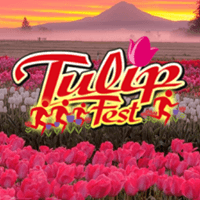 Wooden Shoe TulipFest Run