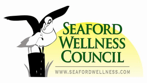 19th Annual Seaford Wellness Hot Chocolate 5K Run/Walk