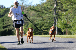 "Gulliver's Run"