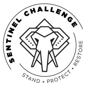 2022 Sentinel Challenge