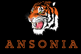 Ansonia Local Schools 5K