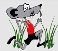 The 45th Annual Swamp Rat Runs