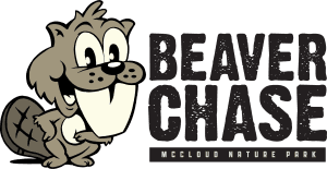 Beaver Chase Trail Race & Relay