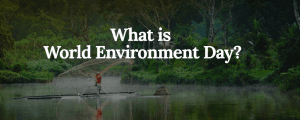 5k, 10k or 15k Virtual Race for World Environment Day - June 5, 2022