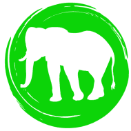 AM Example | DECKED-OUT VIRTUAL RACE