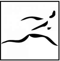 Big Sur Trail Marathon