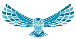 Owl Flight 5K